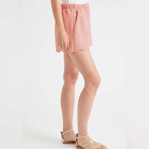 NEW! Splendid NORI SCALLOPED SHORT - Picture 7 of 9